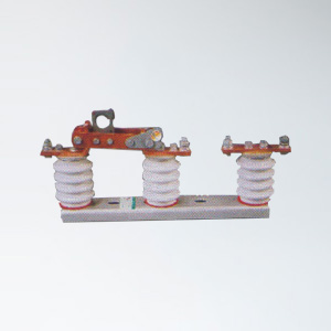 RWG1-0.5隔離開關